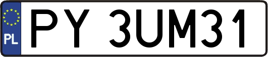 PY3UM31
