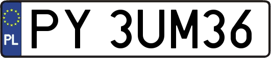 PY3UM36