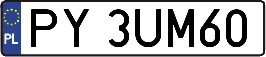 PY3UM60