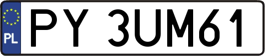 PY3UM61