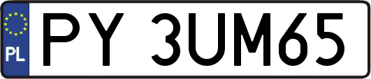 PY3UM65