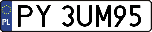 PY3UM95