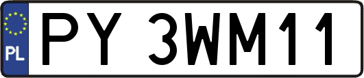 PY3WM11