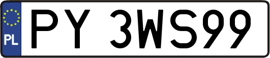 PY3WS99