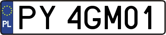 PY4GM01