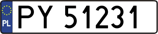 PY51231