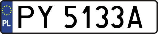 PY5133A