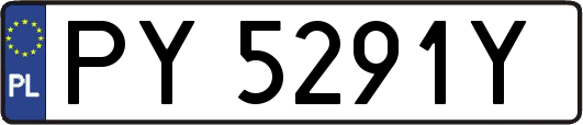 PY5291Y