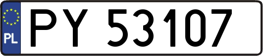 PY53107