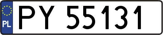 PY55131