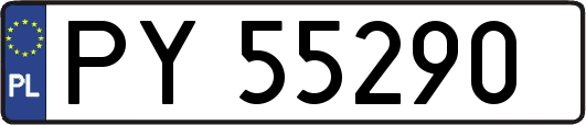 PY55290