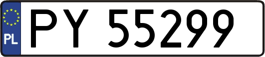 PY55299