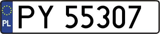 PY55307