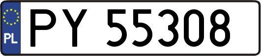 PY55308