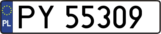 PY55309