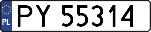 PY55314