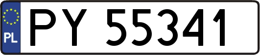 PY55341