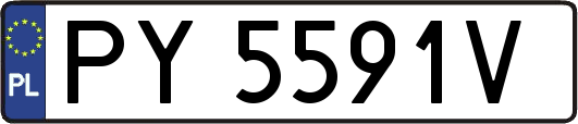 PY5591V