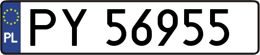 PY56955