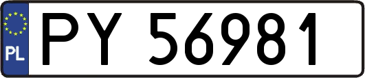 PY56981