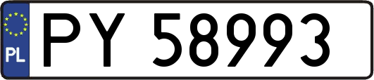 PY58993