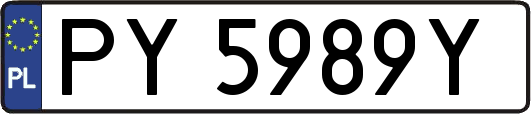PY5989Y