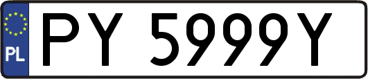 PY5999Y