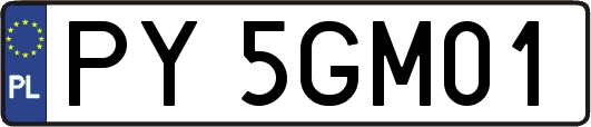 PY5GM01