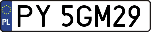 PY5GM29