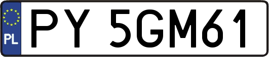 PY5GM61