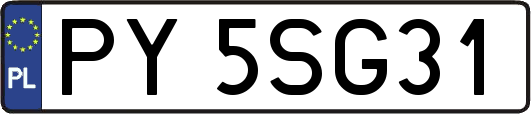 PY5SG31