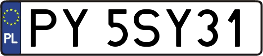 PY5SY31