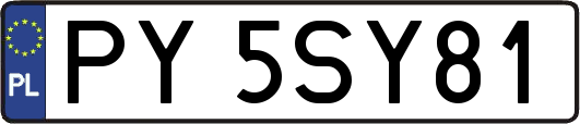 PY5SY81
