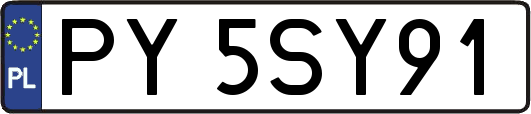 PY5SY91