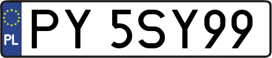 PY5SY99