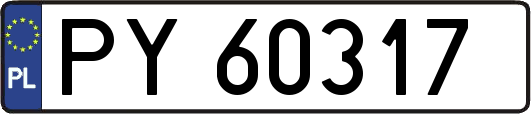 PY60317