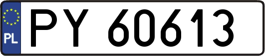 PY60613