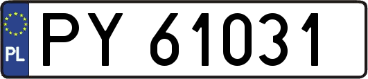 PY61031