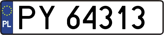 PY64313