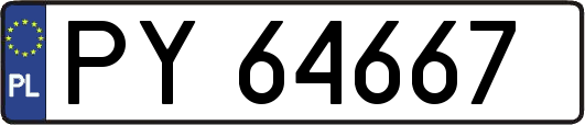 PY64667