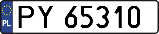 PY65310