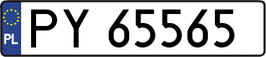 PY65565
