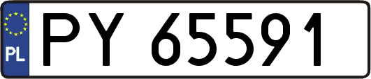 PY65591