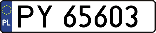 PY65603