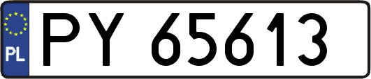 PY65613