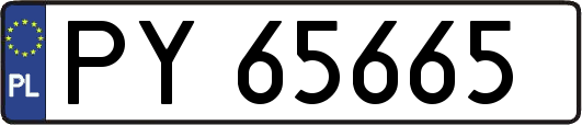 PY65665