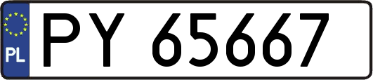 PY65667