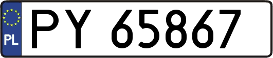 PY65867
