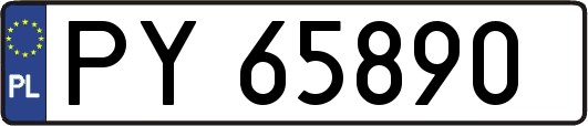 PY65890