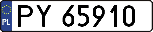 PY65910
